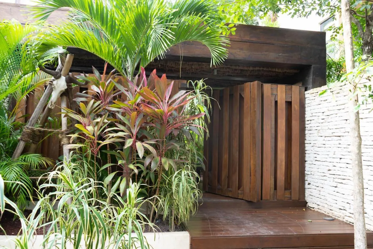 Charming Jungle Apartment In Luum Zama With Pool By Yeah Tulum Mexiko