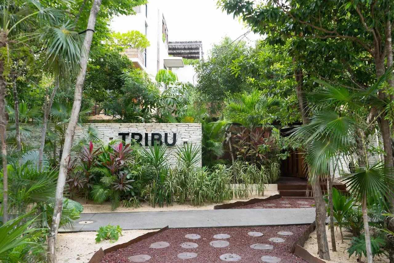 Charming Jungle Apartment In Luum Zama With Pool By Yeah Tulum Mexiko