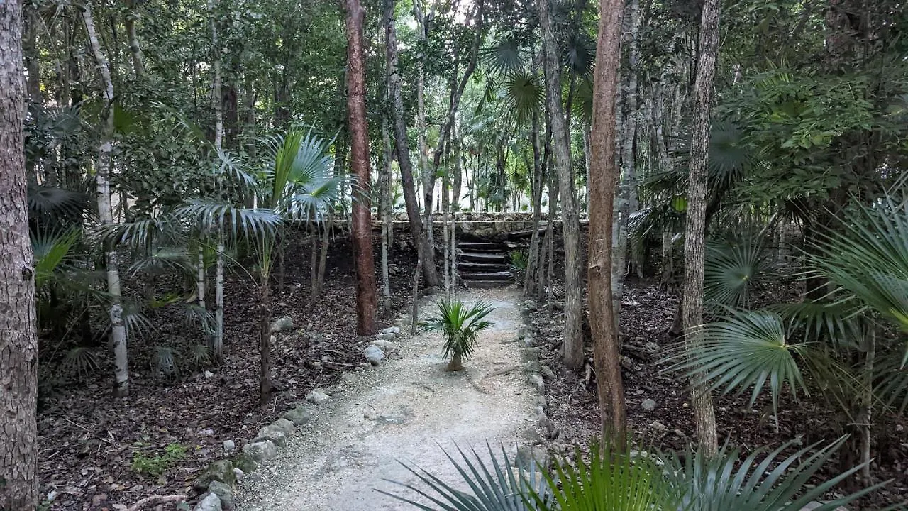Charming Jungle Apartment In Luum Zama With Pool By Yeah Tulum Mexico