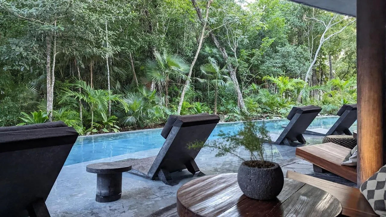 Charming Jungle Apartment In Luum Zama With Pool By Yeah Tulum